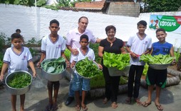 Alunos da Escola Pedro Carvalho colhem hortaliças do projeto Horta na Escola