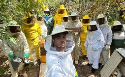 Prefeitura de Coqueiro Seco e Sebrae promovem curso básico de apicultura