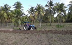 Agricultores de Coqueiro estão a todo vapor no preparo da terra